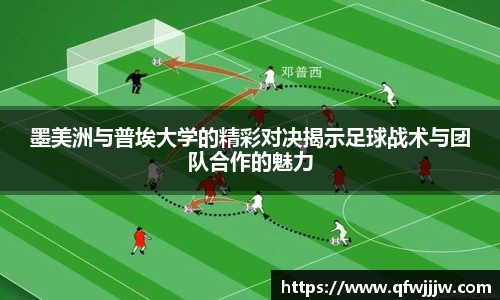 完美体育APP